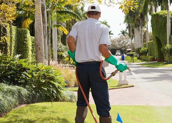 About Warm Springs OR Pest Control Pros